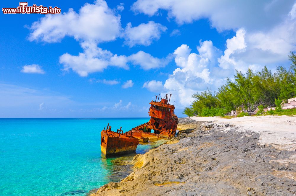 Immagine Il relitto di una nave vicino a una spiaggia di Bimini, Bahamas. E' solo una delle tante navi naufragate lungo le coste di Bimini nel corso dei secoli. Anche per questo snorkeling e immersioni subacquee sono alcune fra le attività preferite dai turisti.