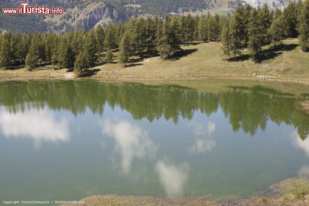 Immagine Riflessi di alberi in un lago verde a Verres, Valle d'Aosta - © fotosullenuvole / Shutterstock.com