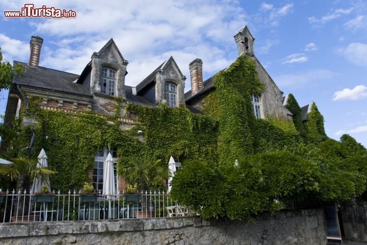 Immagine Ristorante tipico di Azay-le-Rideau, Loira (Francia) - Ogni località che si possa definire turistica non propone gli esercizi di ristorazione in modo disordinato ma, al contrario, cerca di contestualizzarli nell'arredamento urbano più consono a riflettere l'identità della propria cittadina. Questo ad Azay-le-Rideau si respira completamente. In particolare moltissimi ristoranti sono anche dotati di un verde che, come si vede dall'immagine, addirittura sono verticali e sfidano ogni legge di gravità. Innovazione e azzardo quanto originalità: in questa porzione di Loira non manca proprio nulla - © DOPhoto / Shutterstock.com