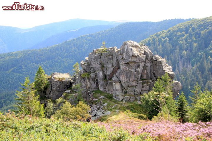 Immagine Affioramento roccioso sui monti  Vosgi, siamo vicino a Munster in Alsazia - © LENS-68 / Shutterstock.com