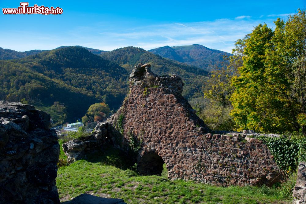 Immagine Le rovine del castello Engelsbourg nel villaggio di Thann, monti Vosgi, Francia. Edificato nel 1224 per volere del conte Frédéric II de Ferrette, venne demolito nel 1673 su ordine di Luigi XIV°.