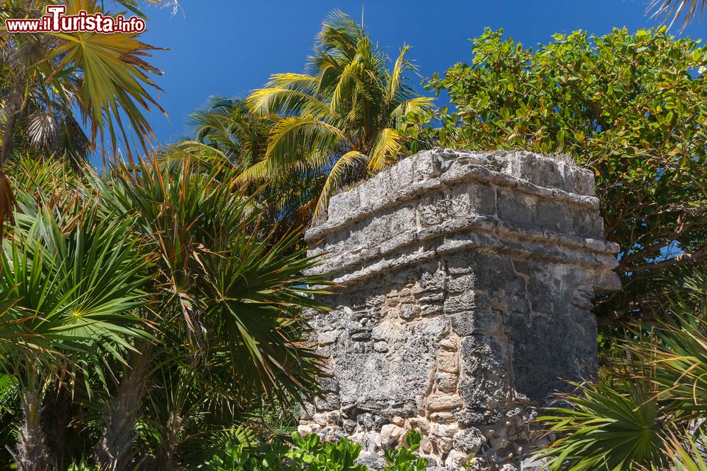 Immagine Rovine dell'antica città Maya di Xcaret, Messico. Le prime costruzioni di questo importante sito archeologico risalirebbero al periodo fra il 200 e il 600 d.C.; la maggior parte però sono datate fra 1200 e 1550.