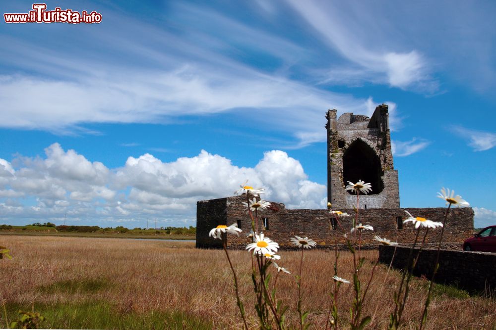 Immagine Rovine di una casa a torre nei pressi di Ballylongford, contea di Kerry, Irlanda.