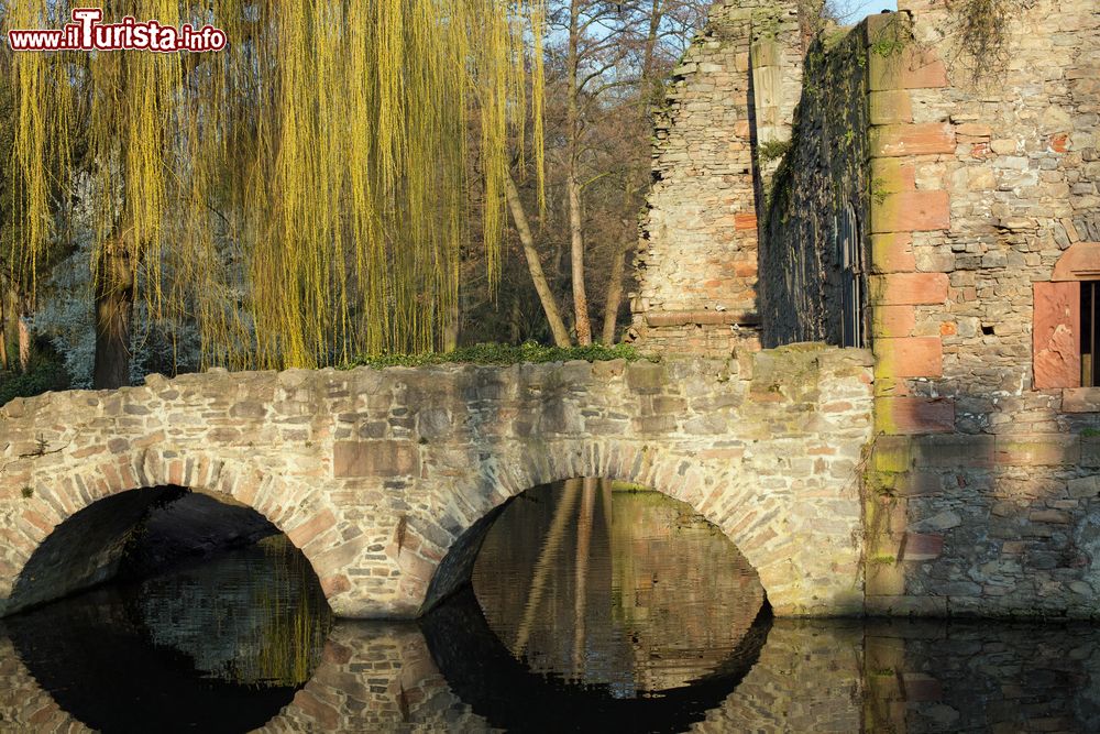 Immagine Rovine nel parco pubblico Schoental ad Aschaffenburg sul fiume Meno, Baviera, Germania. Questa cittadina sorge sulla sponda destra del Main alla confluenza con il piccolo fiume Achaff.