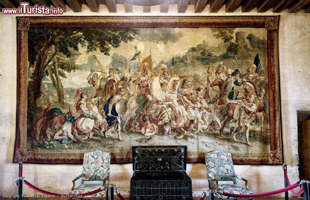 Immagine Sala nell'interno del Castello di Chaumont-sur-Loire in Francia - © Viacheslav Lopatin / Shutterstock.com