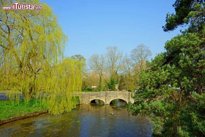 Immagine Salice e ponte in pietra a Bibury, Inghilterra - Un suggestivo angolo bucolico di questo borgo anglosassone che vanta una storia molto antica. Qui il tempo sembra non essersi fermato mai e se non fosse per i fotografi e i turisti che affollano le sue stradine per cercarne uno scorcio più suggestivo fra tutti, sembrerebbe davvero di essere rimasti nel XVII° secolo © Peter Raymond Llewellyn / Shutterstock.com