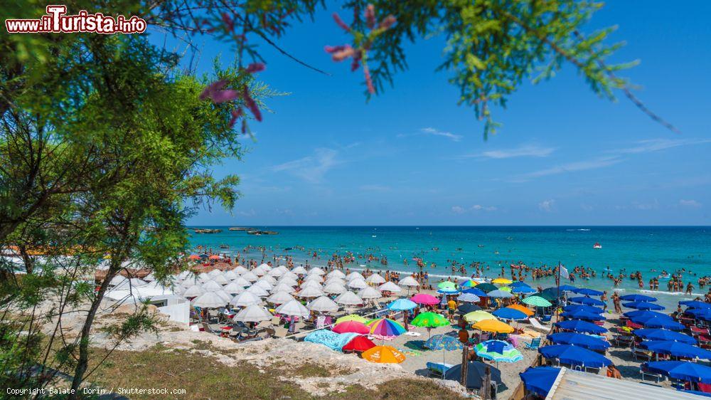 Immagine San Foca,Puglia: la spiaggia in agosto e il mare limpido Adriatico nel Salento. Una delle spiagge a nord del centro - © Balate Dorin / Shutterstock.com
