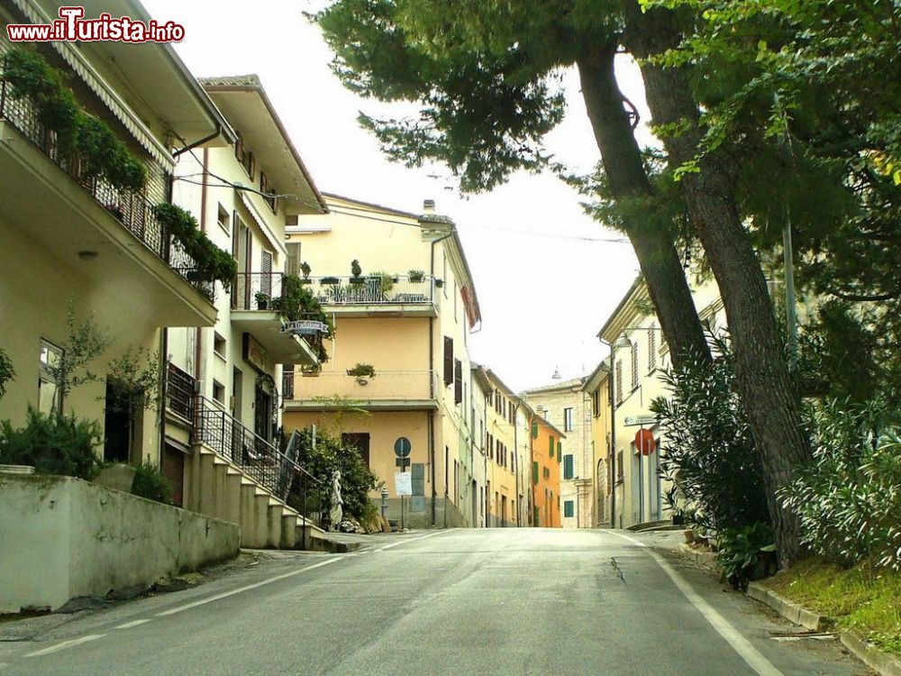 Immagine San Paolo di Jesi è un comune delle Marche della provincia di Ancona - © Elio Maltoni / mapio.net