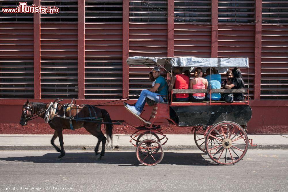 Immagine Santiago de Cuba: un "taxi" collettivo trainato da un cavallo nelle strade della città - © dubes sonego / Shutterstock.com