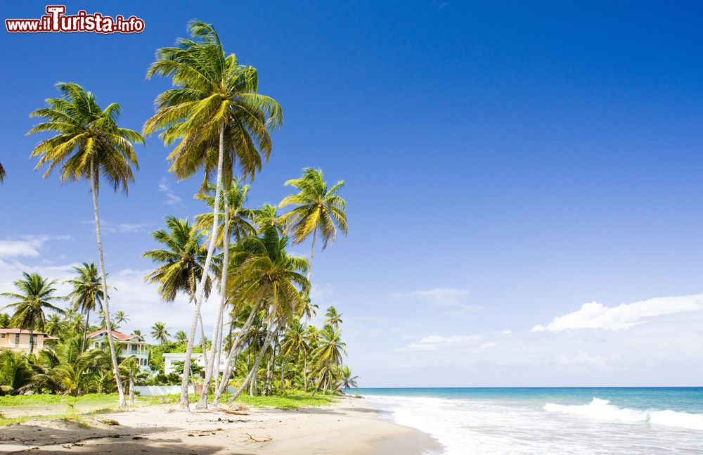 Immagine Sauteurs Bay a Grenada, America Centrale. Questa splendida baia deve il suo nome a un triste episodio avvenuto nel 1651 quando gli ultimi indigeni caraibici si suicidarono lanciandosi in acqua da uno scoglio alto 40 metri pur di non essere sottomessi dai francesi. Da allora, villaggio e baia si chiamano "Sautears", dal francese saltatore.