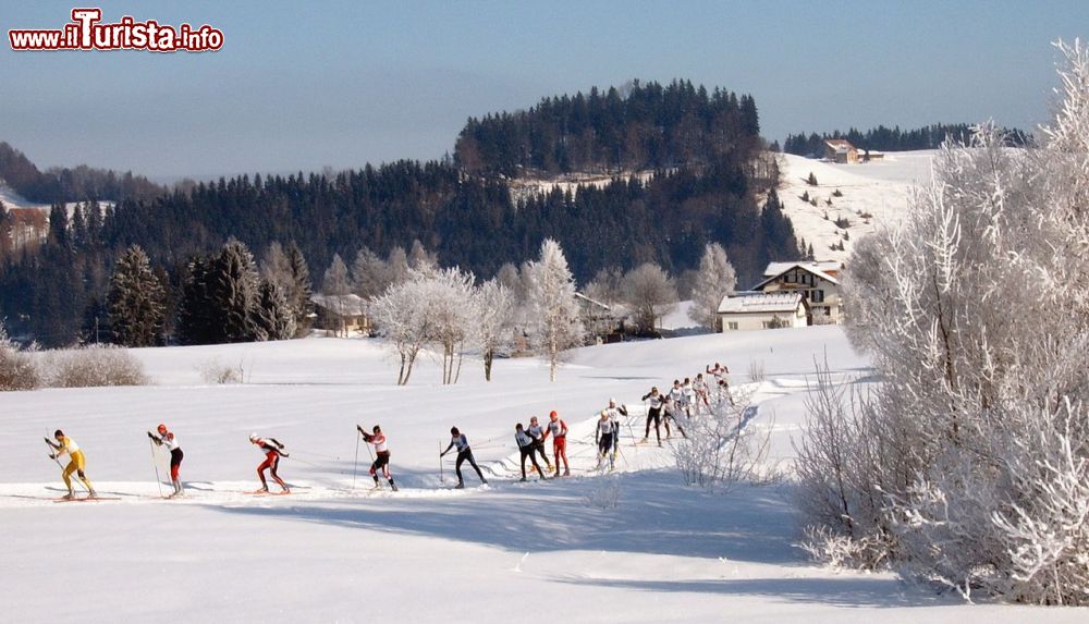 Immagine Sci di fondo in inverno nei dintorni di Imer - © Markus Bernet - CC BY-SA 2.5, Wikipedia