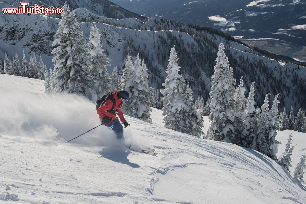 Immagine Sciatore freeride sui monti di Revelstoke, Canada.