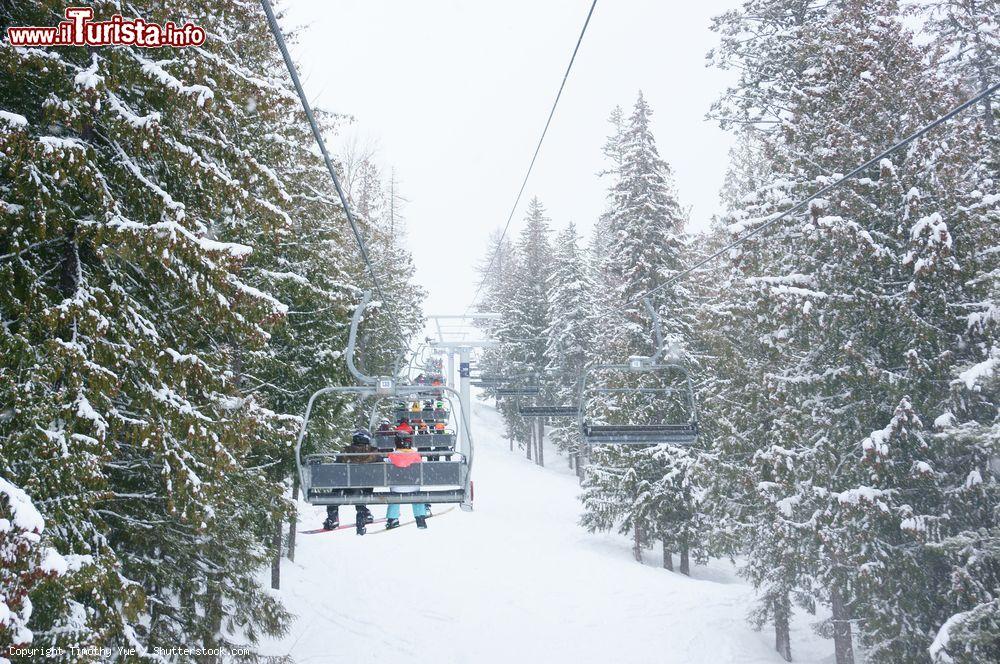 Immagine Sciatori sulla seggiovia durante una nevicata a Fernie, British Columbia, Canada. Gli appassionati di sci troveranno chilometri di piste, seggiovie e skilift per dedicarsi al loro sport preferito - © Timothy Yue / Shutterstock.com