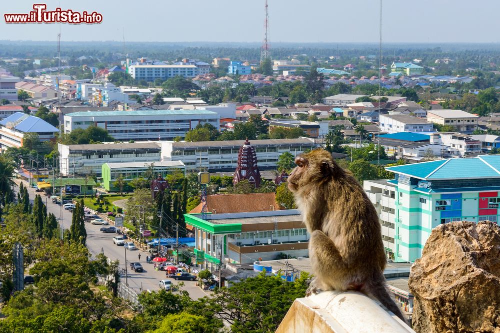 Immagine Una scimmia seduta in cima alla Khao Chong Krachok Hill nella città di Prachuap Khiri Khan, Thailandia.
