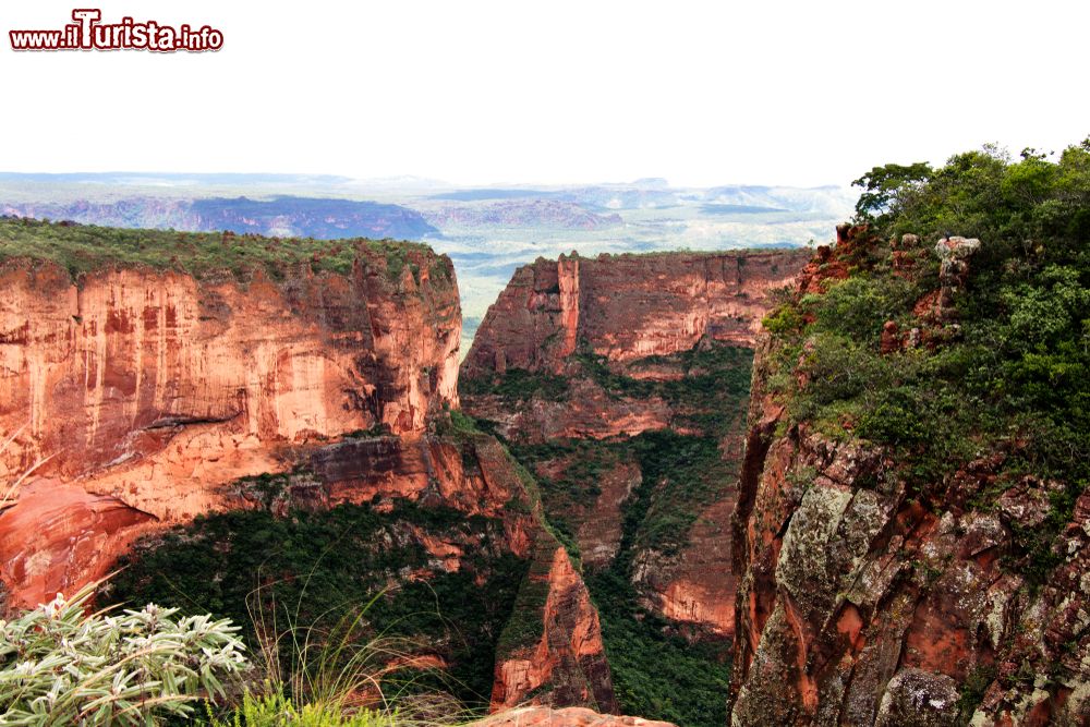 Immagine Scogliere a Chapada dos Guimaraes nei pressi di Cuiaba, capitale del Mato Grosso, Brasile. Questo parco nazionale è popolare fra i viaggiatori che vogliono vedere canyon, cascate e fauna selvatica.