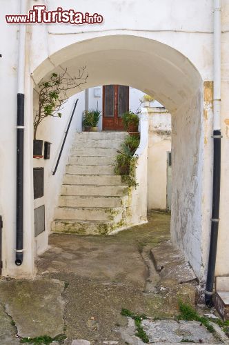 Immagine Uno scorcio del centro di Montescaglioso in Basilicata - © Mi.Ti. / Shutterstock.com