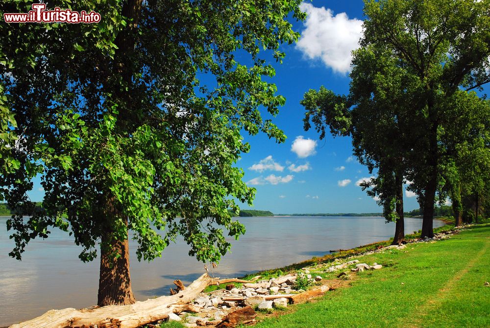 Immagine Uno scorcio del Mississippi Greenbelt Park a Memphis, Tennessee. Questo ampio parco alberato di 105 acri è uno degli spazi verdi preferiti dagli abitanti della città.