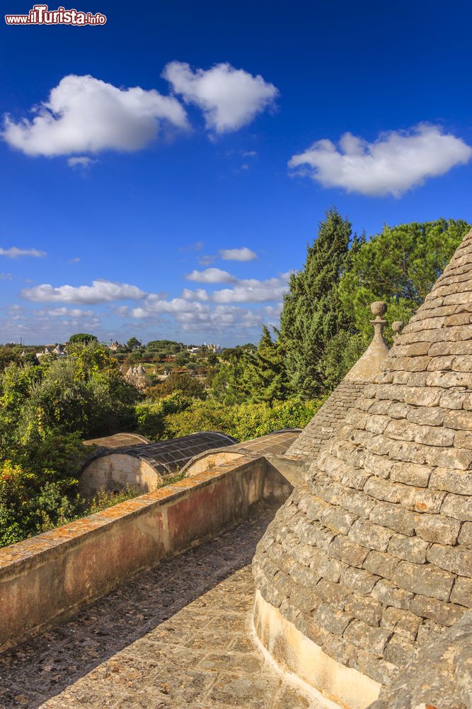 Immagine Uno scorcio della campagna pugliese nei pressi di Cisternino. La vista panoramica dal tetto di un trullo: colline con ulivi.