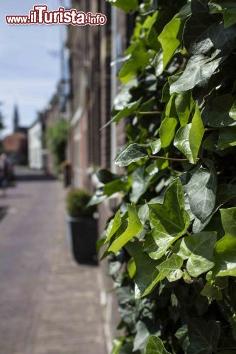 Immagine Scorcio di un vicolo di De Rijp in Olanda, uno dei borghi più belli dei Paesi Bassi