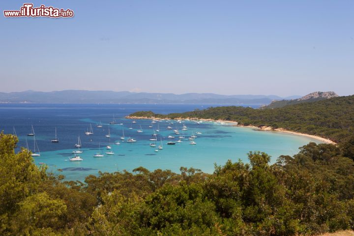 Immagine Scorcio panoramico di Bandol, Francia. Vista dall'alto delle colline la natura che caratterizza questo centro del sud della Francia appare ancora più rigogliosa - © Anna Biancoloto / Shutterstock.com