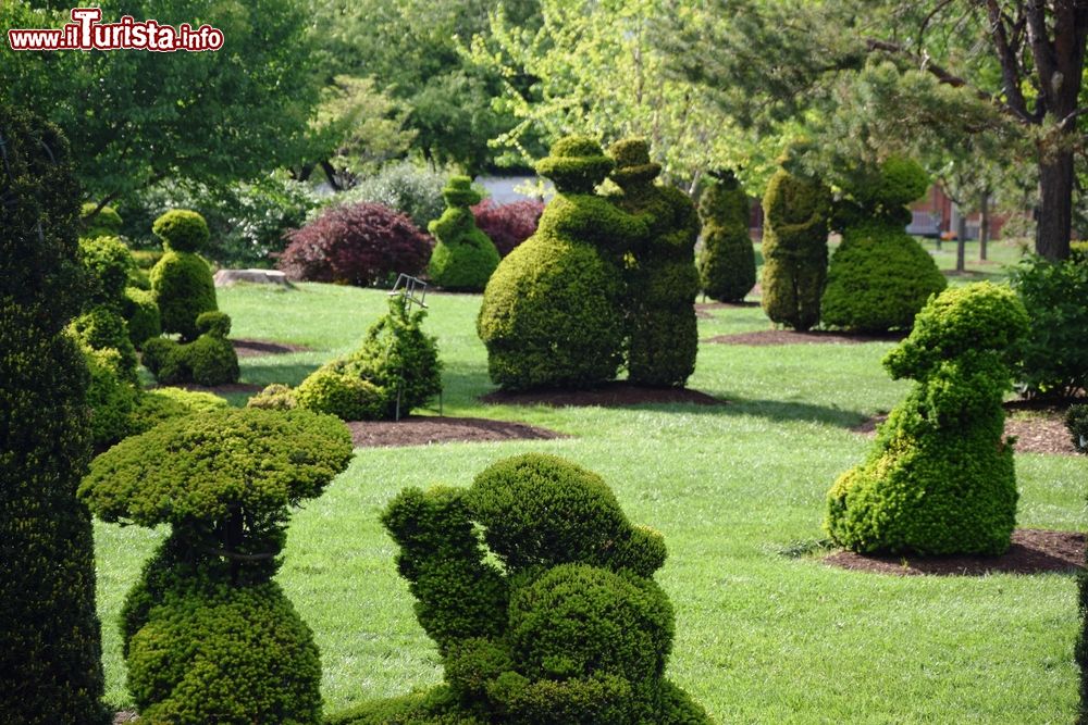 Immagine Sculture realizzate nelle siepi a Topiary Park, Columbus, Ohio, USA.