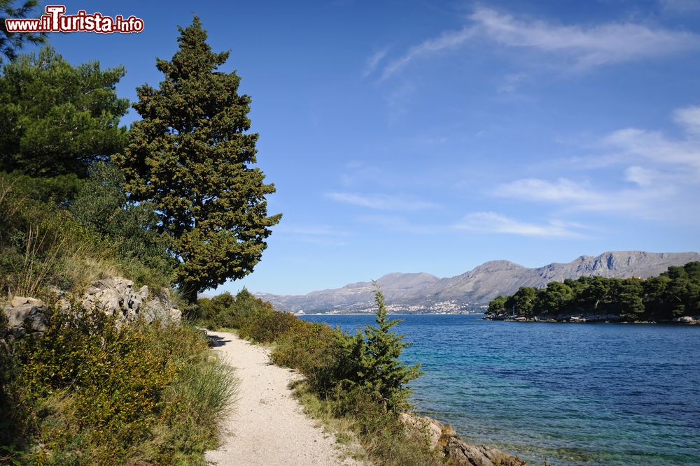 Immagine Un sentiero lungo la costa dell'Adriatico nei pressi della cittadina di Cavtat (Ragusa Vecchia, Croazia).