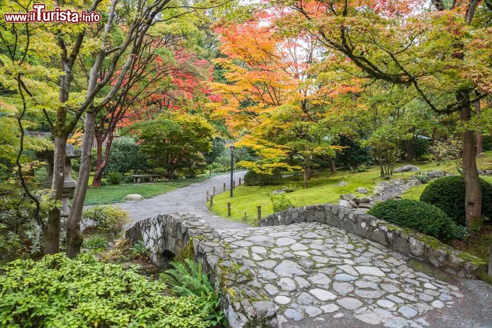 Immagine Sentiero nel Giardino Giapponese di Seattle (Washington) in autunno.