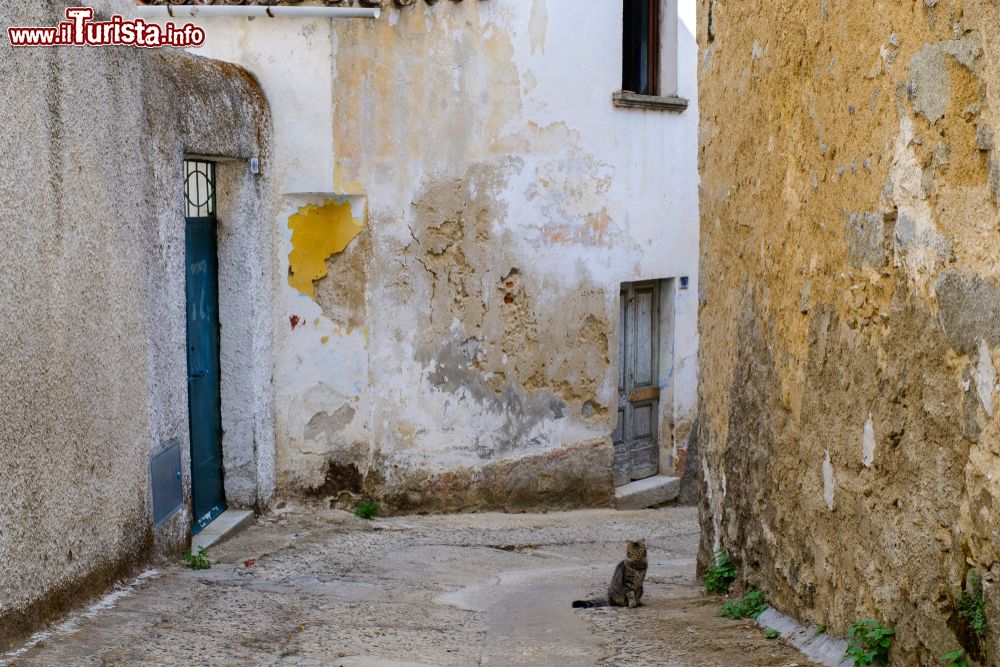 Immagine Un vicolo del vecchio centro storico di Bitti, provincia di Nuoro, Sardegna. E' considerato il principale borgo della Barbagia settentrionale che un tempo era nota come Barbagia di Bitti. Le case in pietra sono disposte ad anfiteatro e si intersecano in stradine strette.