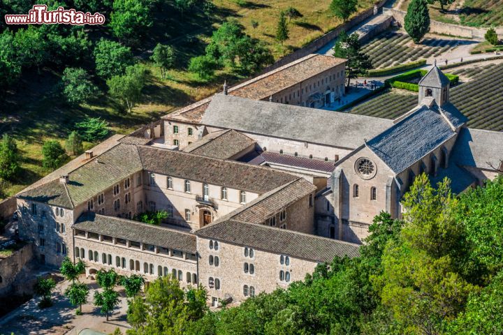 Immagine Complesso dell'abbazia di Sénanque vicino a Gordes, Francia - Organizzata in funzione della regola di vita "Ora et labora" trasmessa dal fondatore dell'ordine, San Bernardo, l'abbazia può essere visitata da fedeli e turisti. Da vedere ci sono il dormitorio, la chiesa con due cappelle in stile romanico, il chiostro, lo scriptorium e la sala del concistoro. Quest'ultima, dotata di un'eccezionale acustica, è anche il solo luogo dell'abbazia di Sénanque in cui è permesso ai monaci di parlare fra di loro © Lukasz Janyst / Shutterstock.com