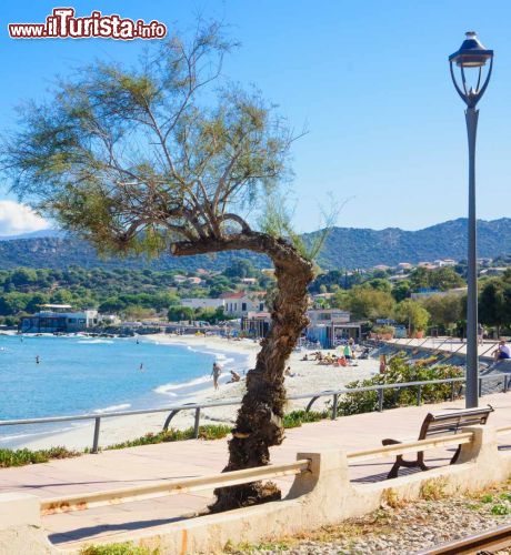 Immagine  La bella spiaggia cittadina di Isola Rossa, L'Ile Rousse in Corsica - © RnDmS / Shutterstock.com