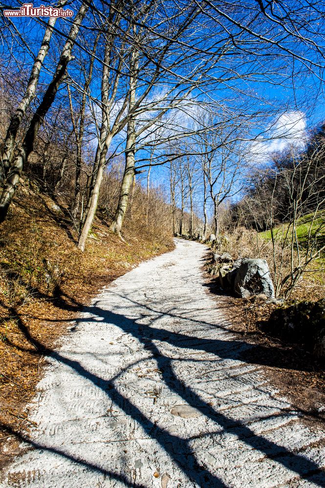 Immagine Sentiero di montagna a Barzio in Lombardia