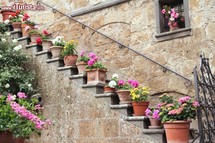 Immagine Decorazioni floreali in una casa di Civita di Bagnoregio, Lazio. Generosa in tutte le sue forme, la natura impreziosisce con fioriture e colori dalle mille tonalità il sasso con cui sono costruite molte case del borgo - © ValeStock / Shutterstock.com