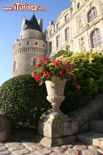 Immagine Particolare del Castello di Brissac-Quincé, uno dei manieri della Valle della Loira in Francia - © Vladimir Golovin / Shutterstock.com