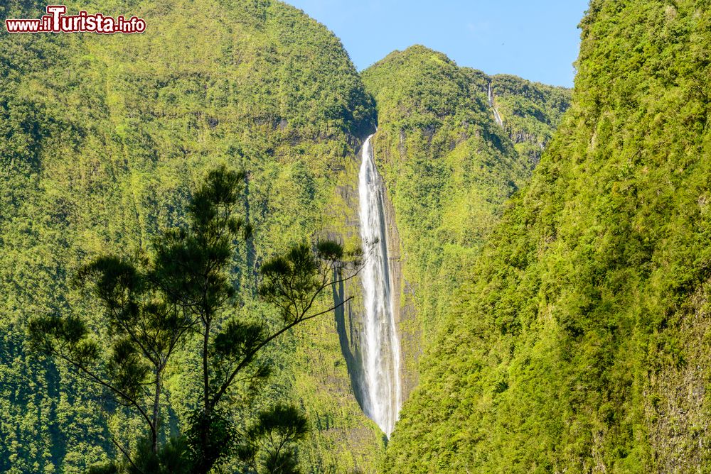 Immagine La cascata bianca nel territorio di Salazie, Reunion Isole Mascarene. Questo angolo di Francia d'oltremare ospita una natura rigogliosa con flora e fauna rare e in qualche caso uniche al mondo.