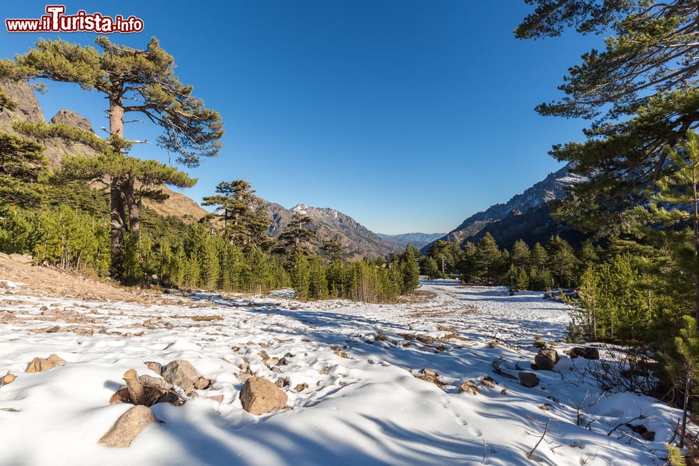 Immagine Le montagne intorno ad Asco in Inverno, con la neve al suolo che di frequente cade nelle zone interne della Corsica