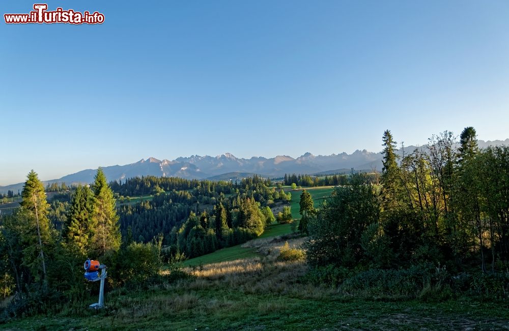 Immagine Parco Nazionale dei Monti Tatra non lontano da Bialka Tatrzanska in Polonia