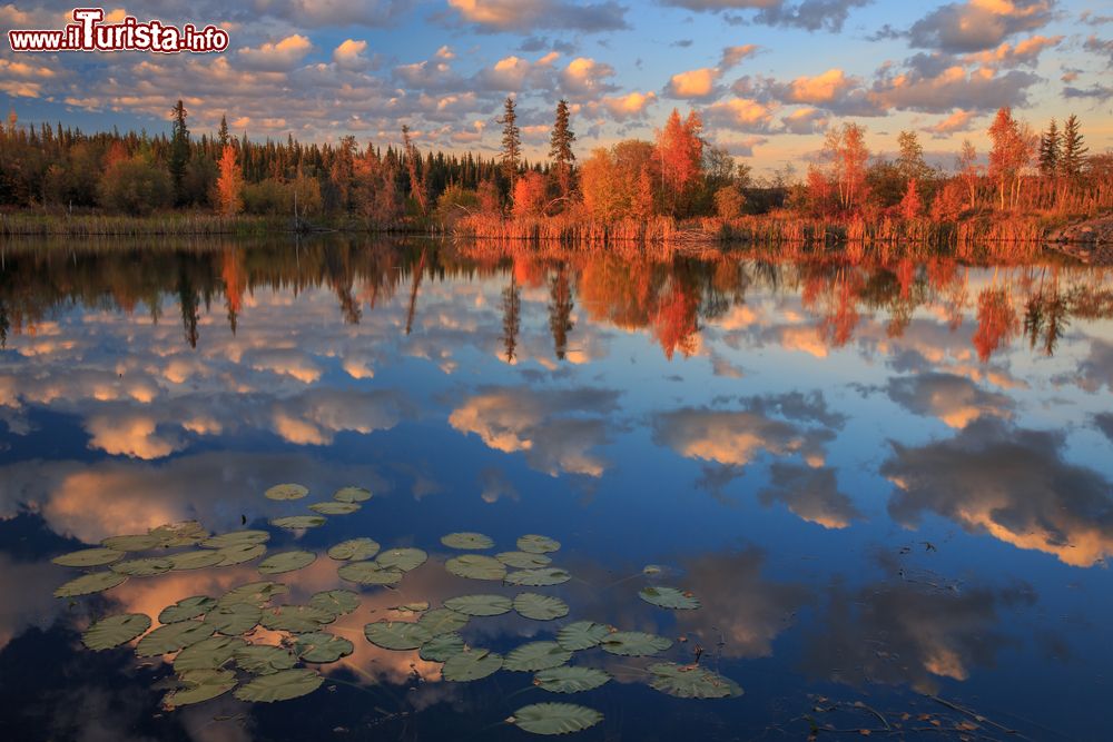 Immagine Autunno sul Hidden Lake area proptetta neiTerritori del Nord-Ovest in Canada