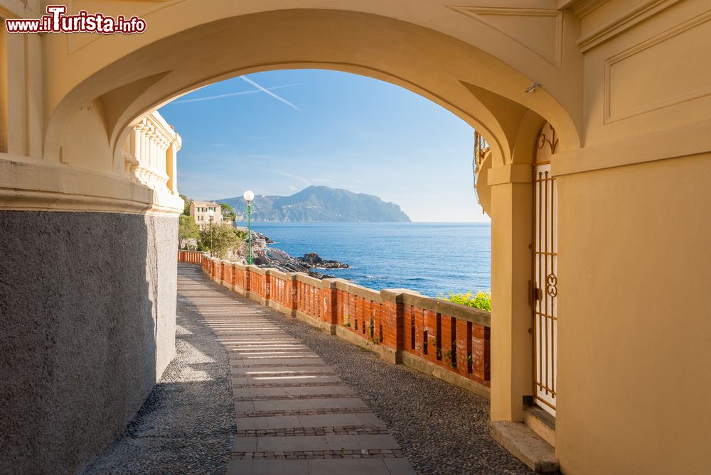 Immagine Uno scorcio di Bogliasco, Riviera di Levante: sullo sfondo il promontorio di Portofino