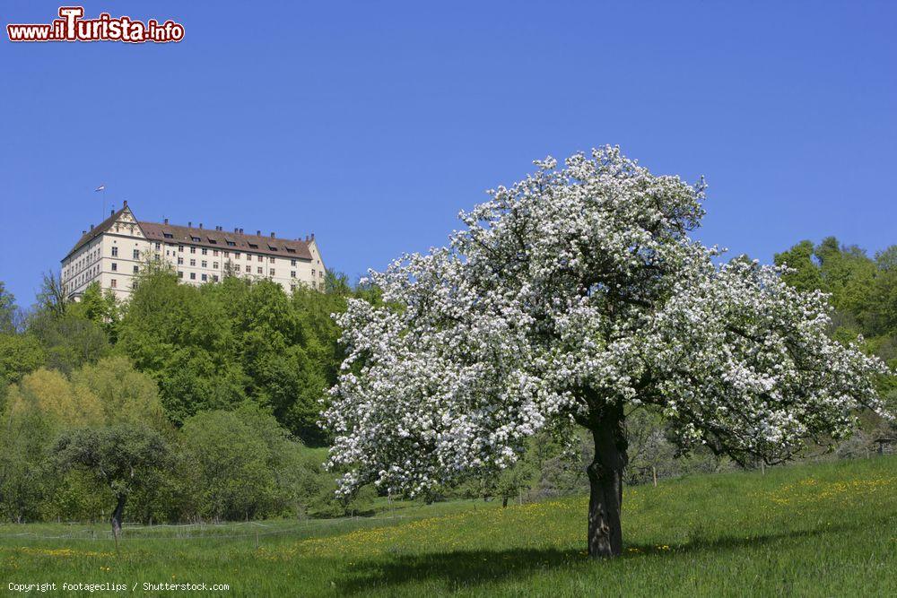 Immagine Primavera a Uberlingen e il suo castello sul Lago di Costanza - © footageclips / Shutterstock.com