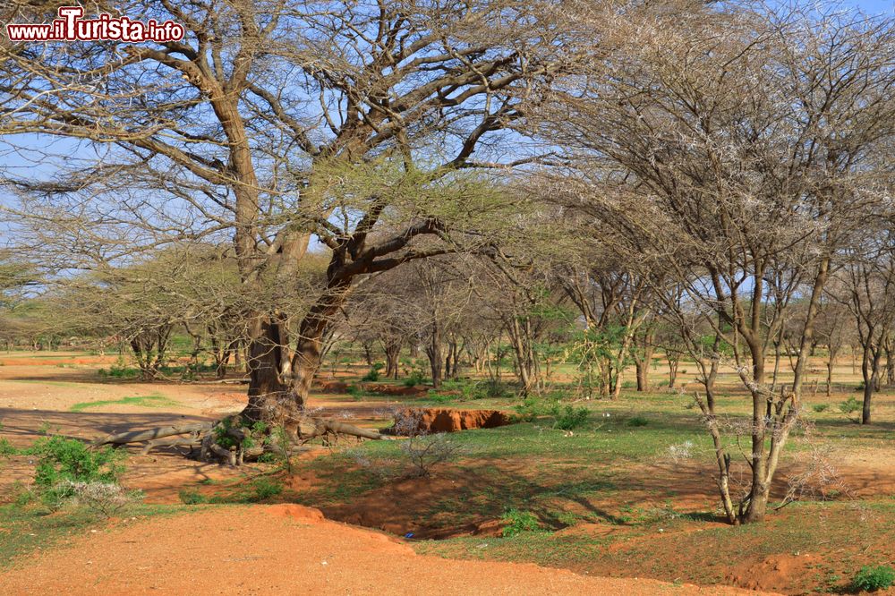 Immagine Siccità in Kenya, regione di Marsabit: siamo nella remota zona di Korr che offre alla vista paesaggi semi desertici.
