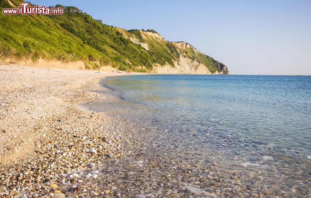 Immagine Spiaggia a ciottoli nella zona di Portonovo nelle Marche