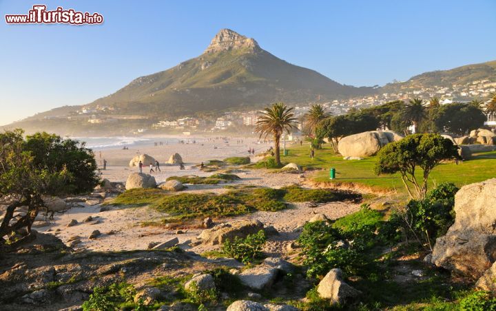 Immagine Spiaggia di Cape Town e Lion's Head, Città del Capo, Sudafrica - A differenza dei "classici" litorali dove si parla sempre di spiaggia bianca e mare cristallino, qui vi è un valore in più. Si tratta dei giardini, della natura e delle tipiche palme, che caratterizzano i tratti di balneazione rendendo non solo il soggiorno piacevole, ma creando anche diversi punti di ombra, come si nota dall'immagine, che regalano per tutte le famiglie dei momenti di piacevole relax - © Richard Cavalleri / Shutterstock.com