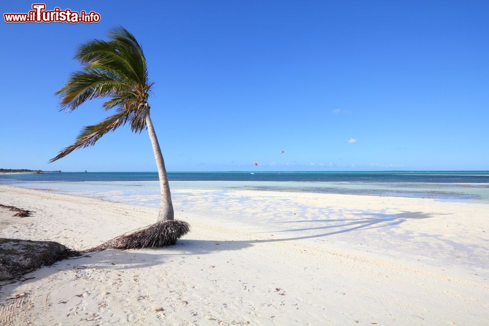 Immagine Una splendida spiaggia deserta a Cayo Guillermo (Jardines del Rey), Cuba.