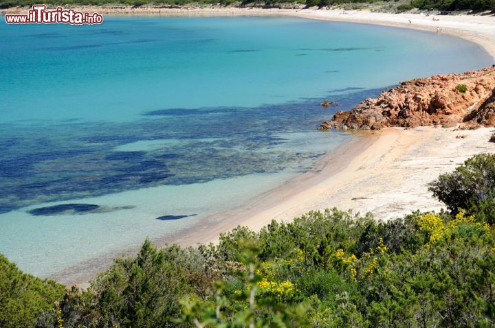 Immagine Il mare cristallino di Capo Coda Cavallo, un paradiso naturale a pochi chilometri dalla Costa Smeralda - la penisola di Capo Coda Cavallo, situata di fronte alla bella isola di Tavolara, è a detta di molti uno dei luoghi più spettacolari della Sardegna e proprio per questo è meta ogni estate di migliaia e migliaia di turisti.- © crazy82 / Shutterstock.com