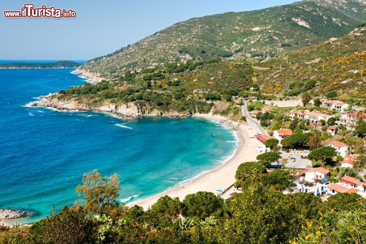 Immagine Fotografata dall'alto la spiaggia di Cavoli appare in tutto il suo splendore grazie al contrasto fra l'acqua azzurro cristallino, il verde della vegetazione della macchia mediterranea e il bianco della sabbia - © Luciano Mortula / Shutterstock.com