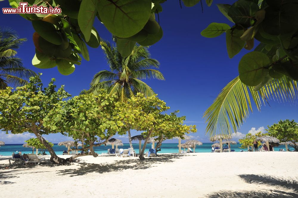 Immagine Spiaggia di Guardalavaca a Holguin, Cuba. Una suggestiva immagine di una delle più belle spiagge di Cuba, vero e proprio paradiso per gli appassionati di diving e snorkeling.