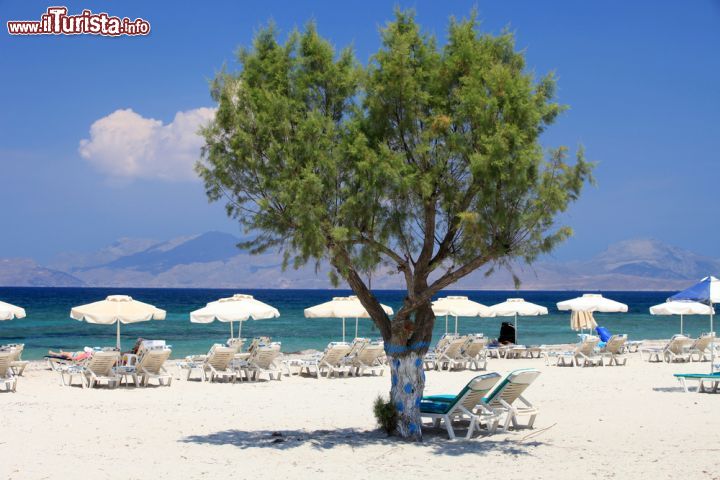 Immagine La spiaggia sabbiosa di Mastichari con ombrelloni e lettini, isola di Kos (Grecia)  - © wjarek / Shutterstock.com