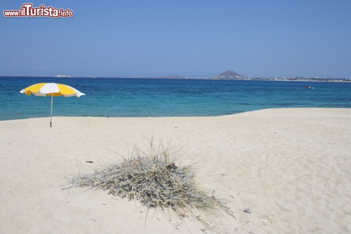 Immagine Spiaggia di Mikri Vigla a Naxos, Grecia - Un ombrellone bianco e giallo sulla spiaggia di Mikri Vigla a Naxos. Lambito dalle acque del mar Egeo, questo tratto di costa è famoso per la sabbia dorata che si getta nelle acque turchesi. Ancora incontaminata dal turismo di massa, Mikri Vigla ha saputo mantenere intatta la sua tradizionale architettura cicladica abbinata alla bellezza selvaggia del paesaggio costiero © Daniela Sachsenheimer / Shutterstock.com