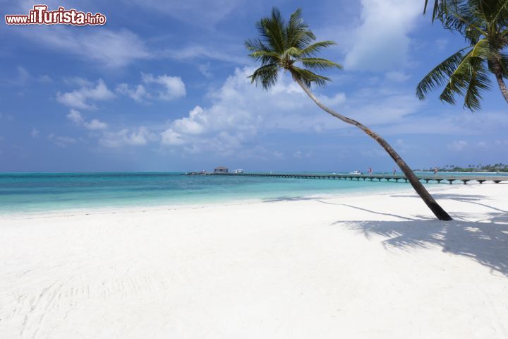 Immagine Una grande spiaggia di sabbia bianca presso un resort nell'atollo di Lhaviyani (Faadhippolhu), alle Maldive - foto © Shutterstock.com