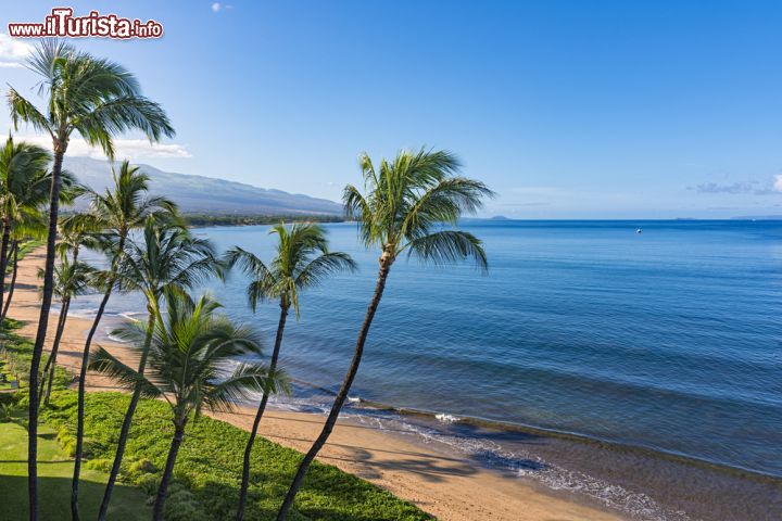 Immagine Spiaggia e palme fotografate la mattina a Sugar Beach, Kihei, Hawaii.